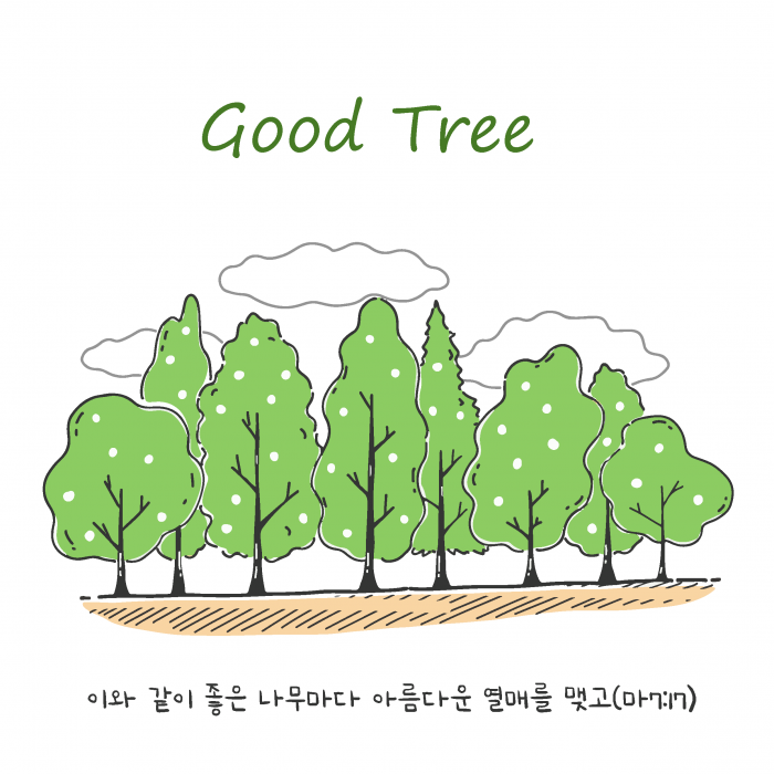 좋은 나무
