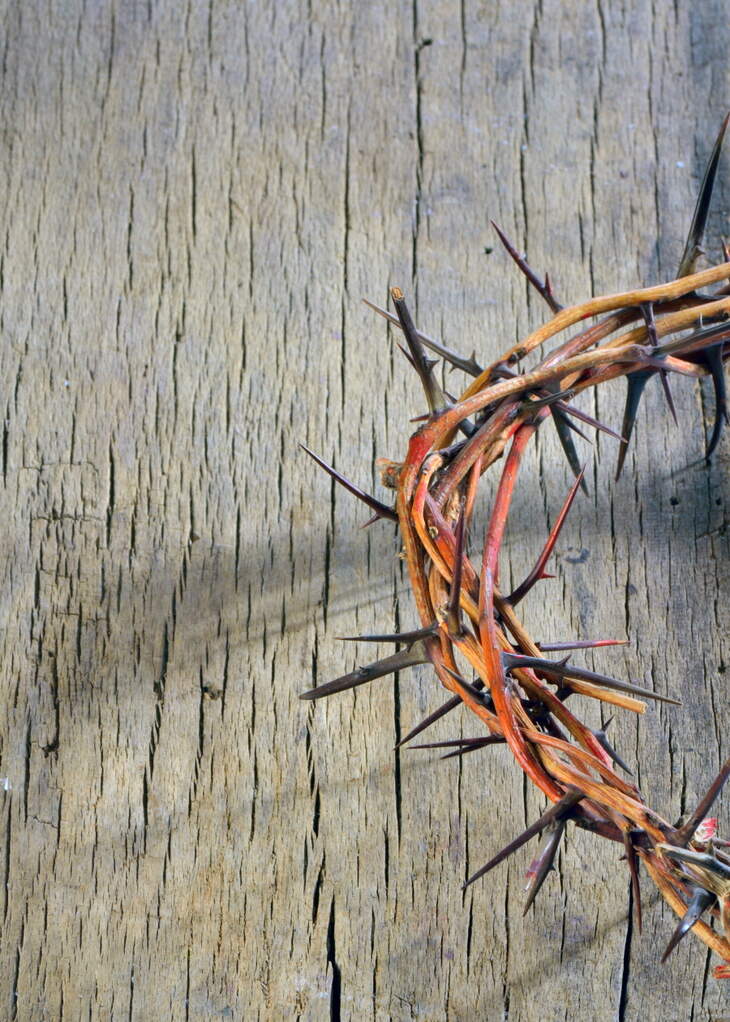 crown of thorns on wooden background