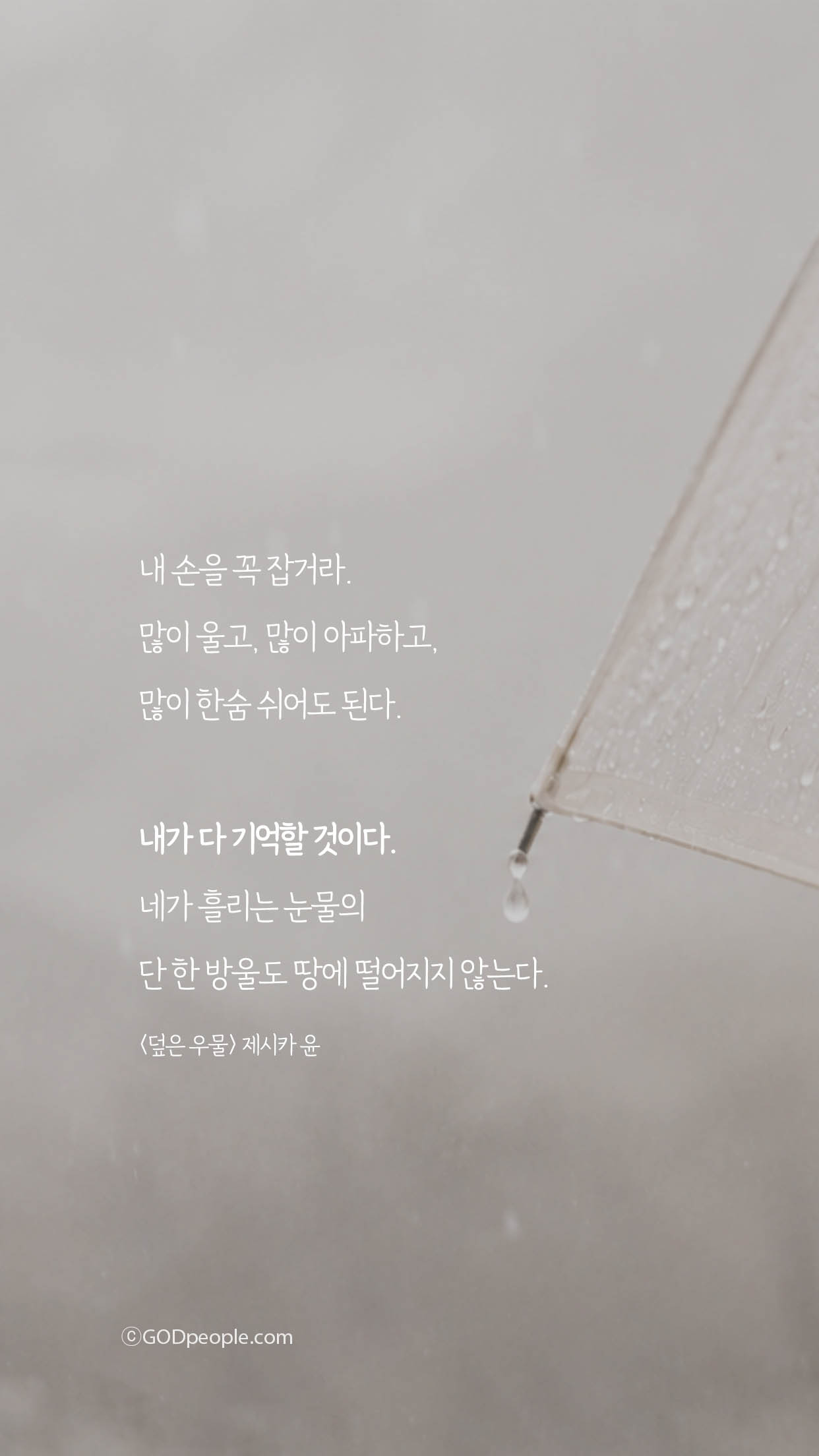 background_image