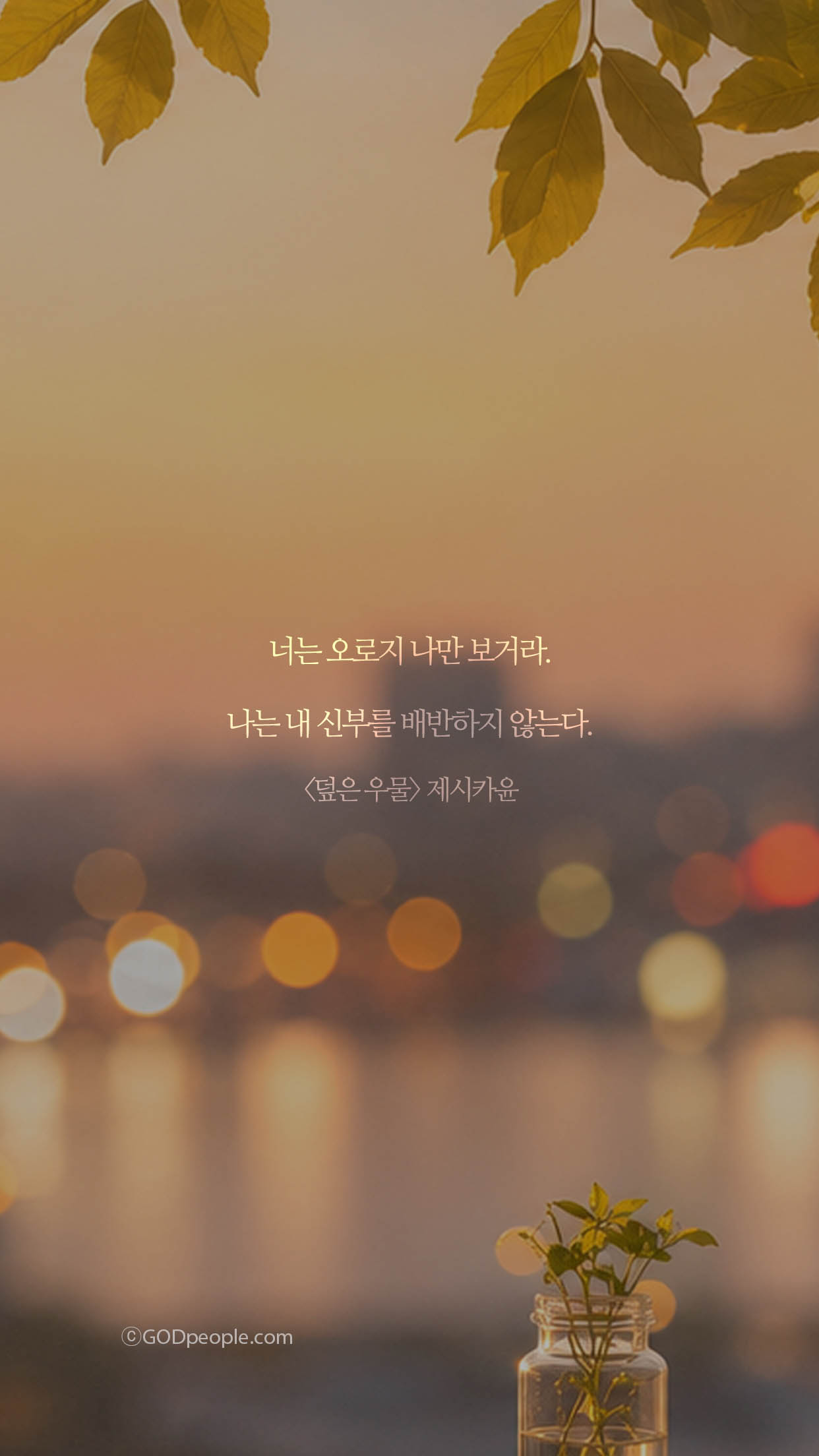 background_image