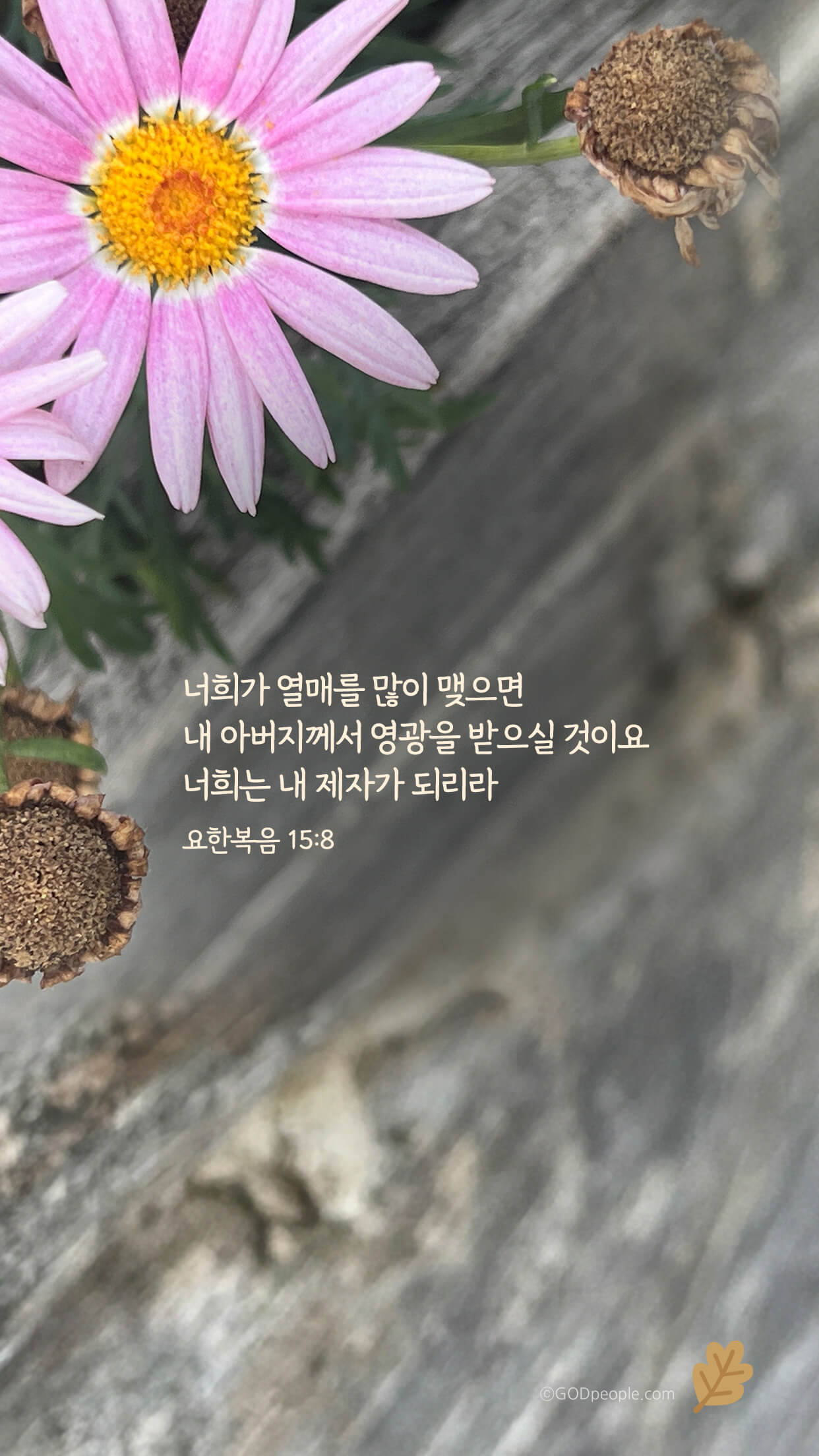 background_image
