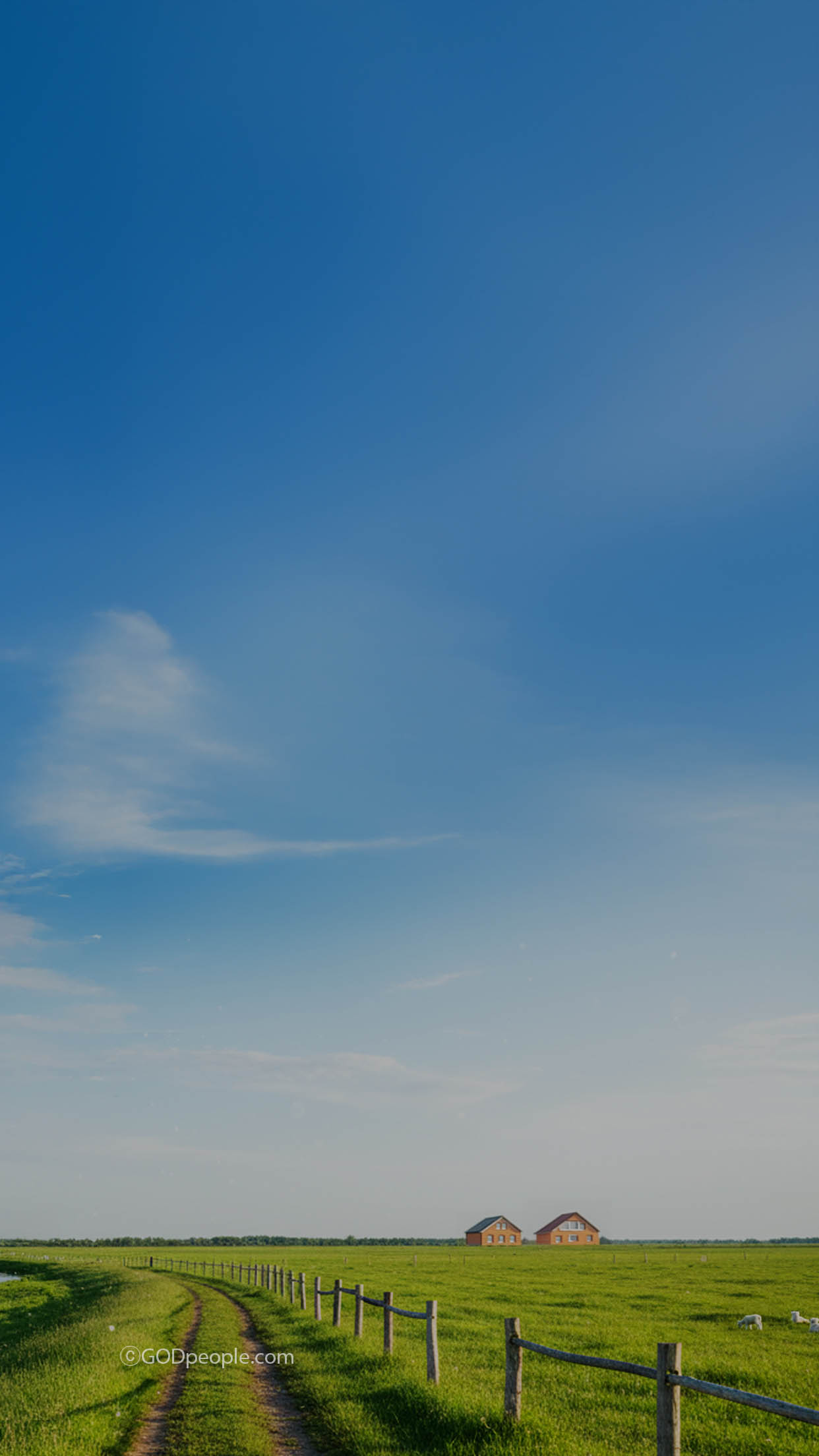 background_image