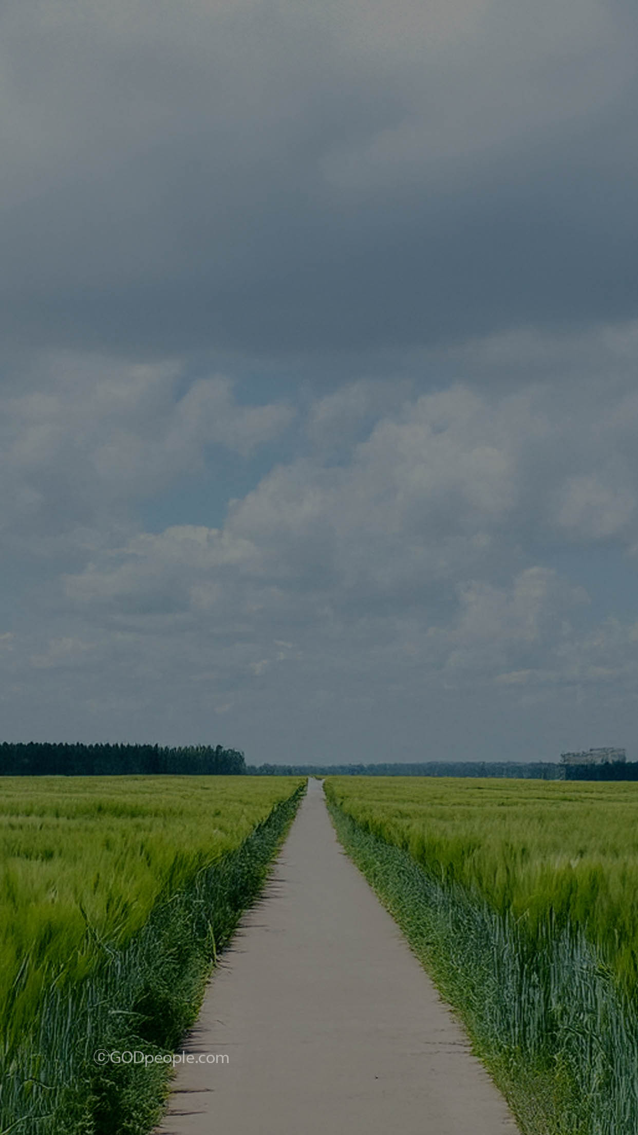 background_image