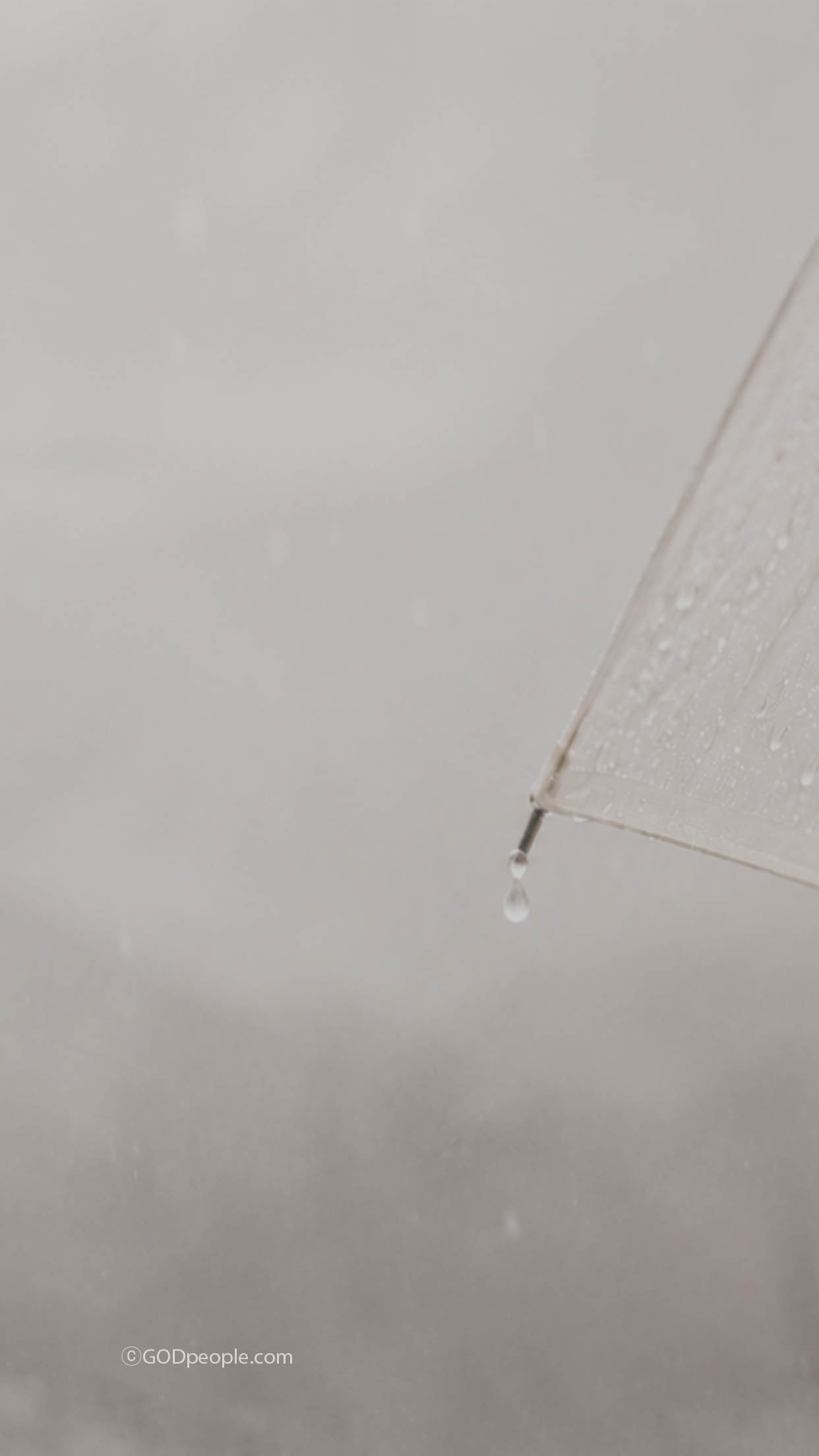 background_image