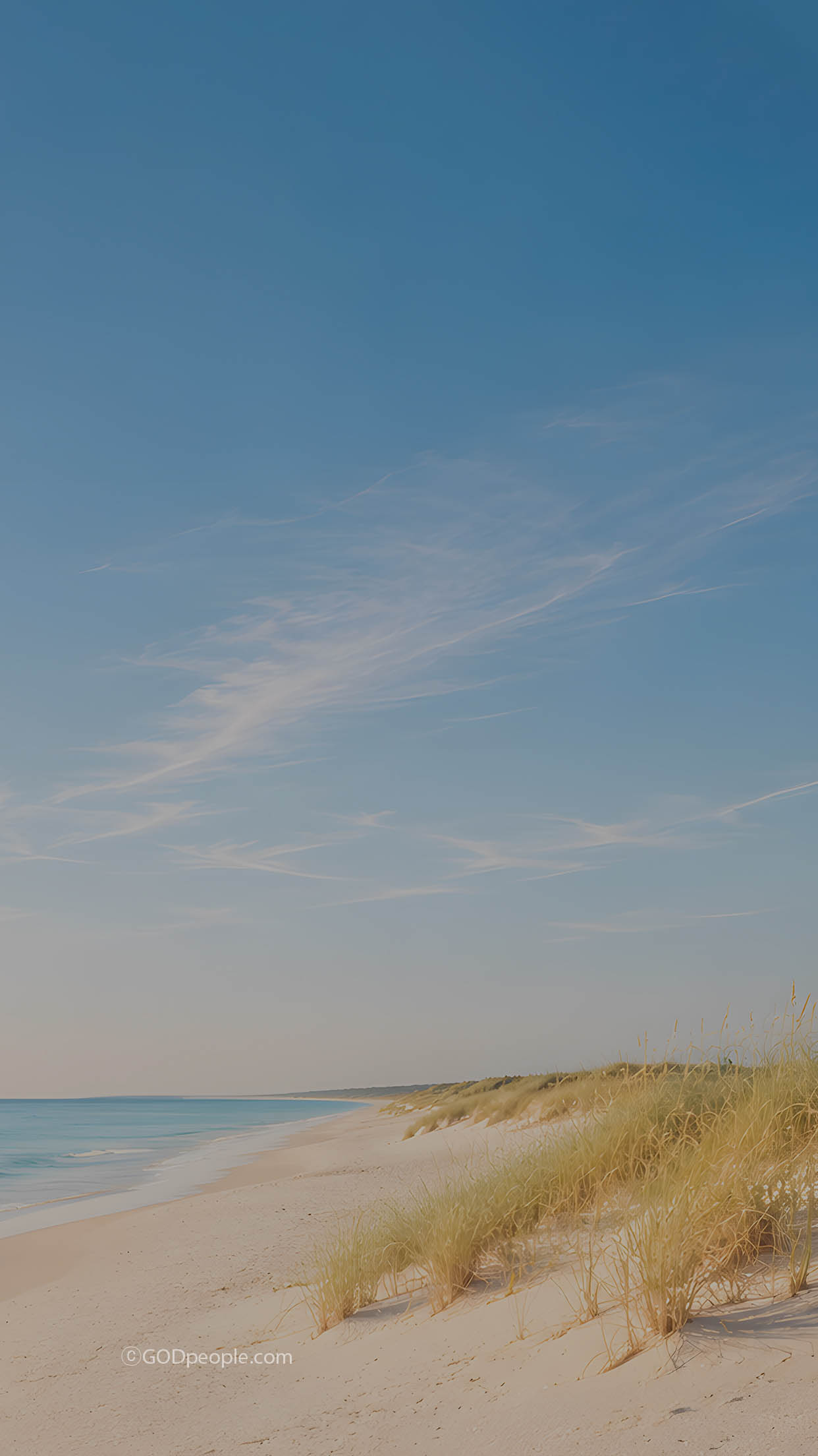 background_image