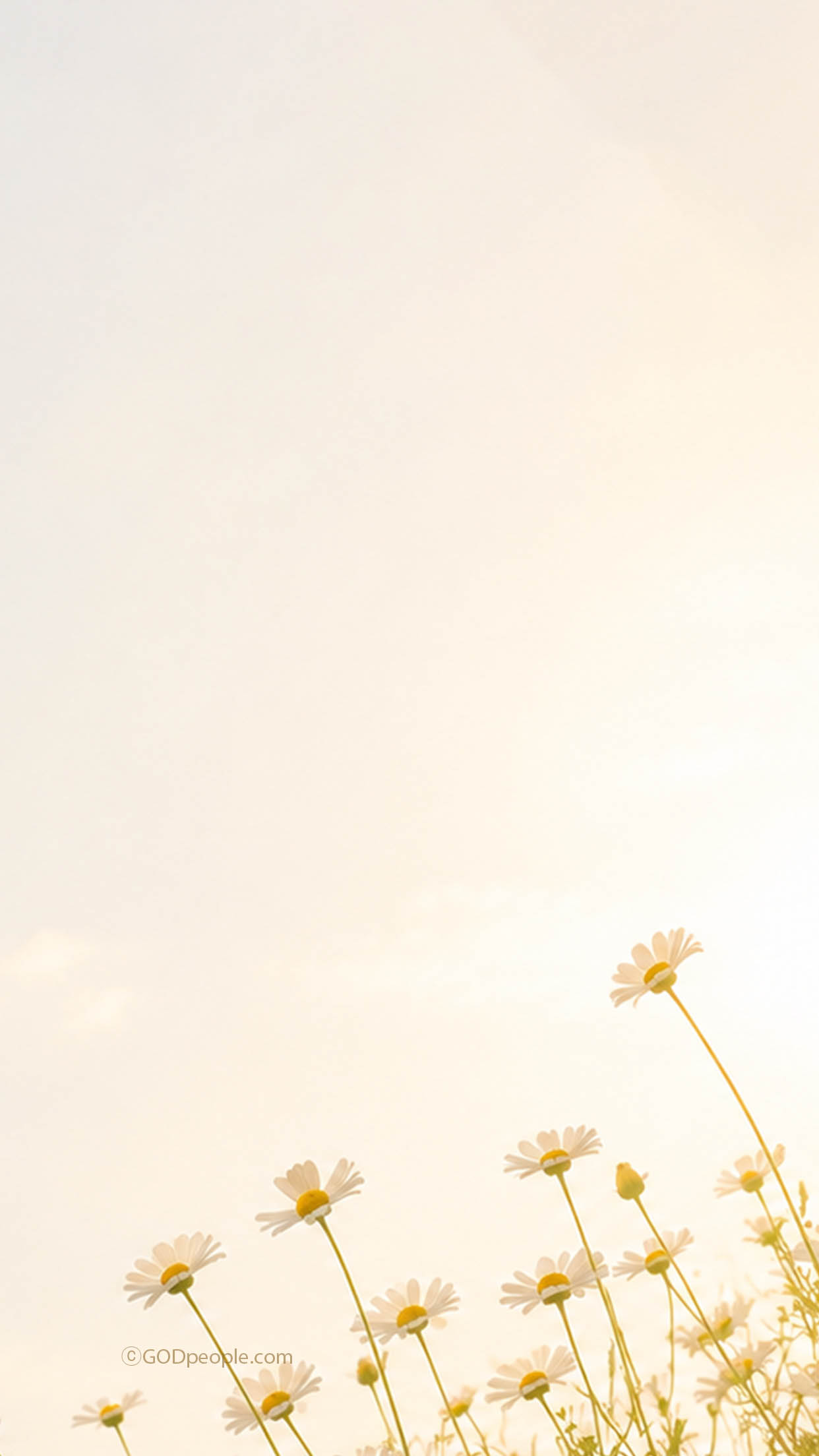 background_image