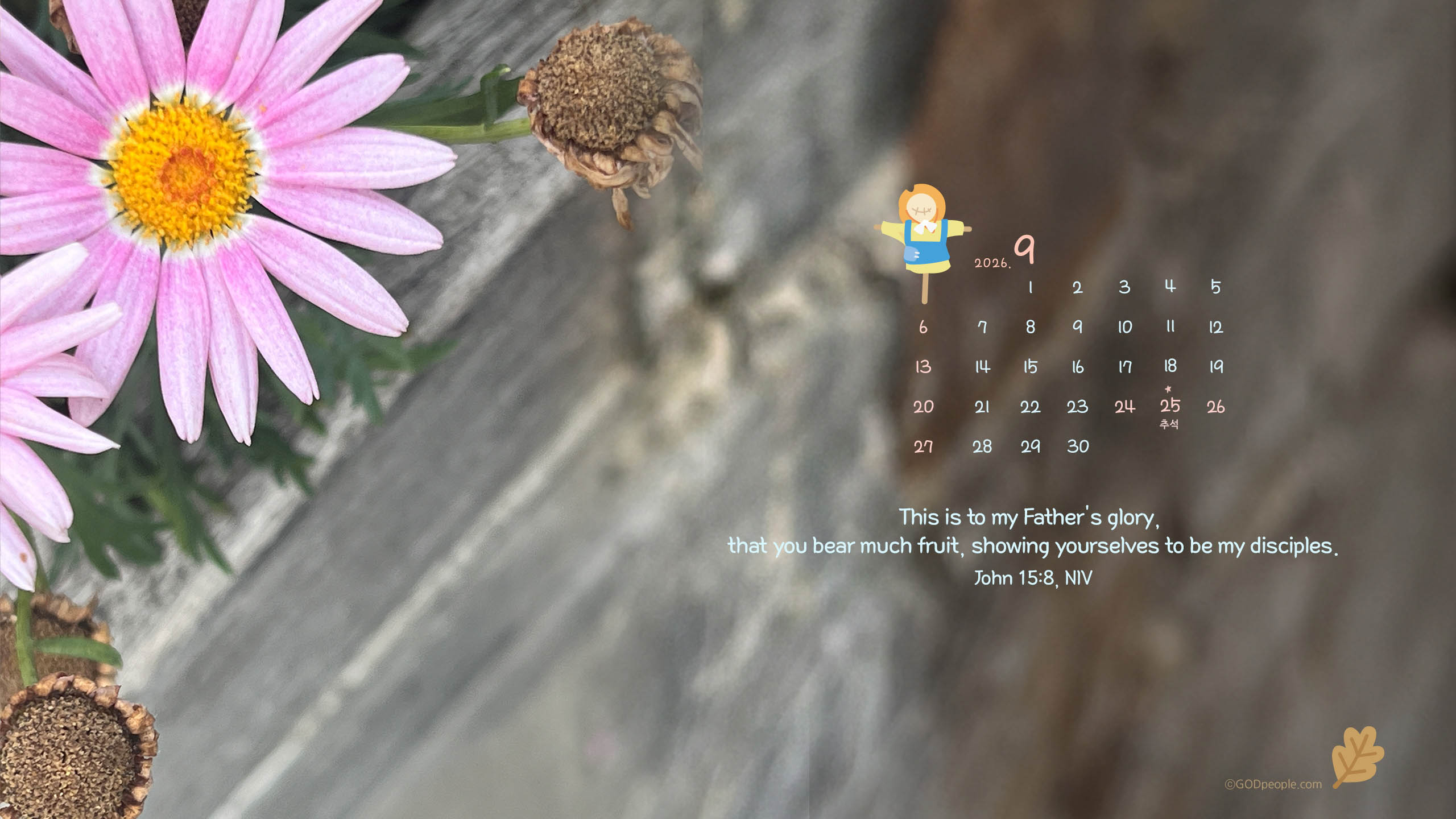 background_image