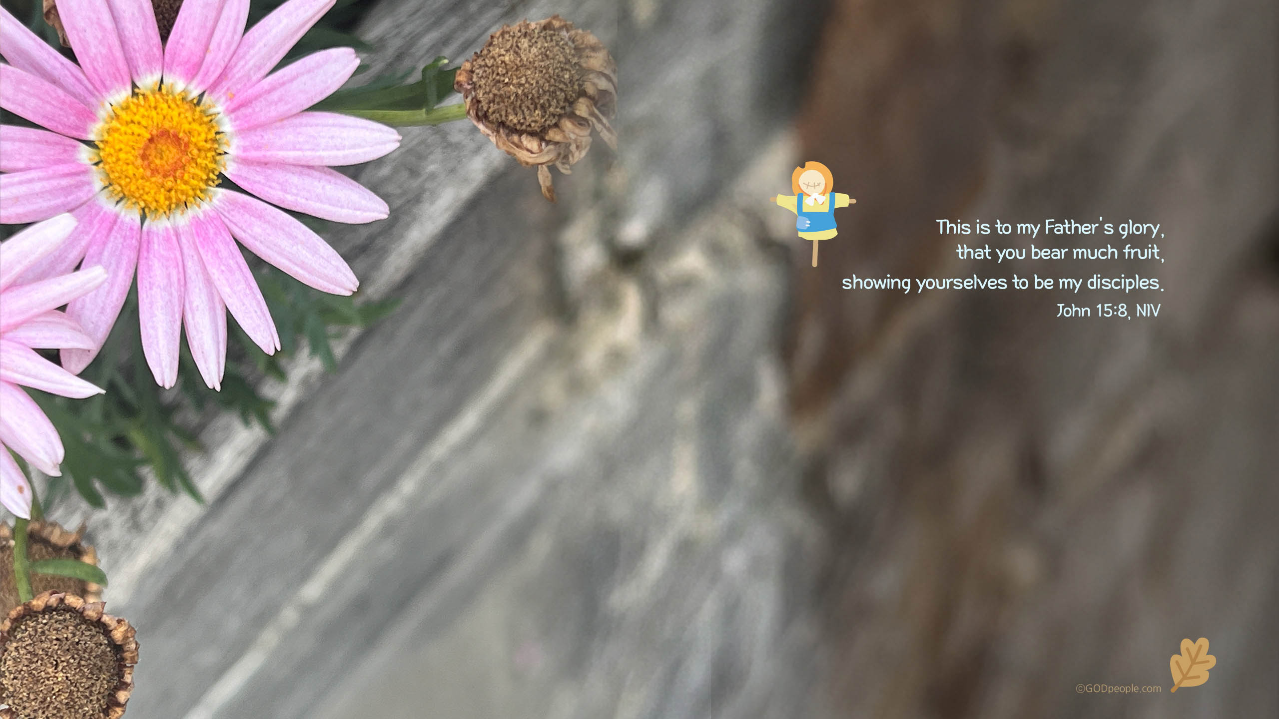 background_image