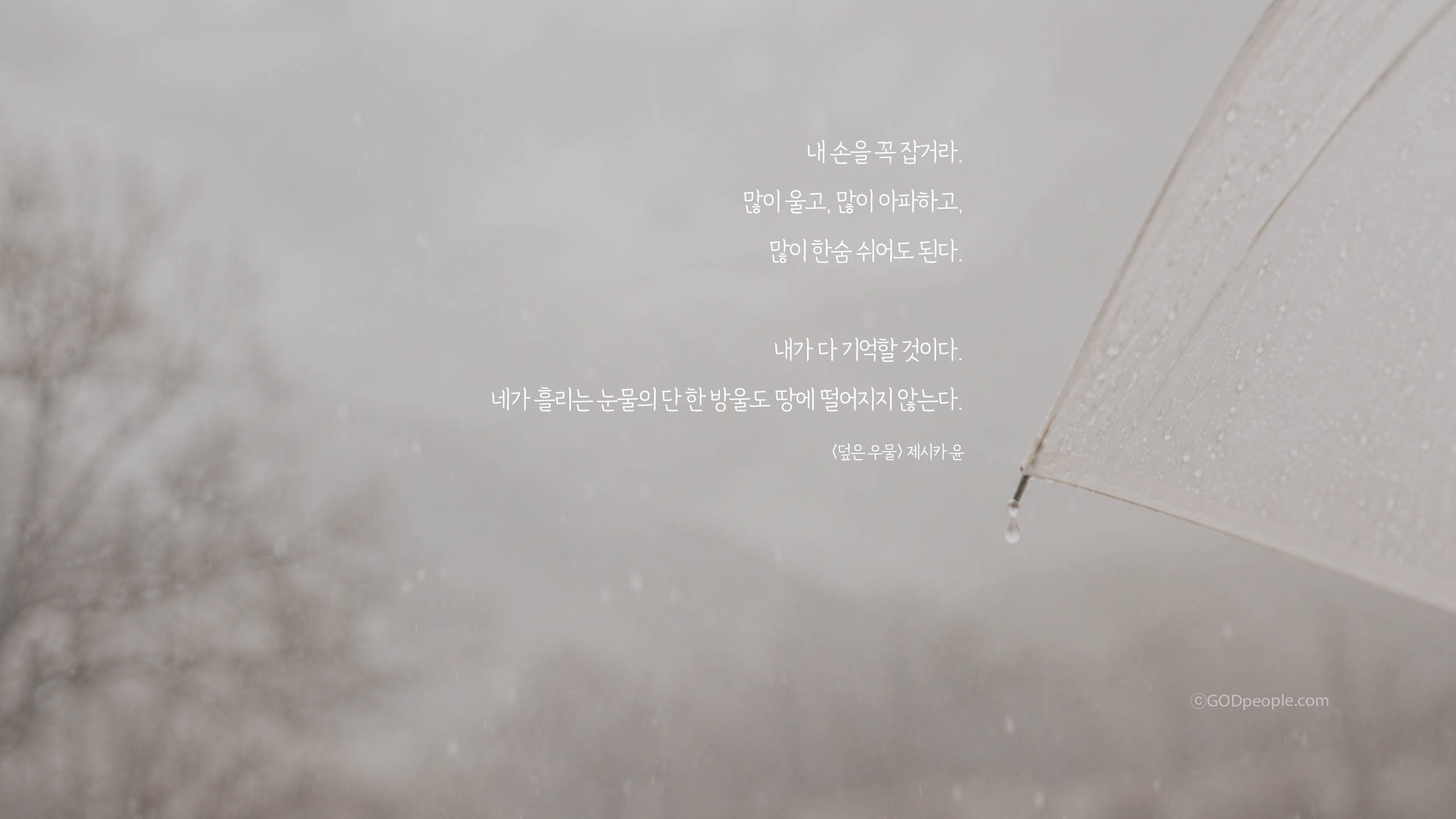 background_image
