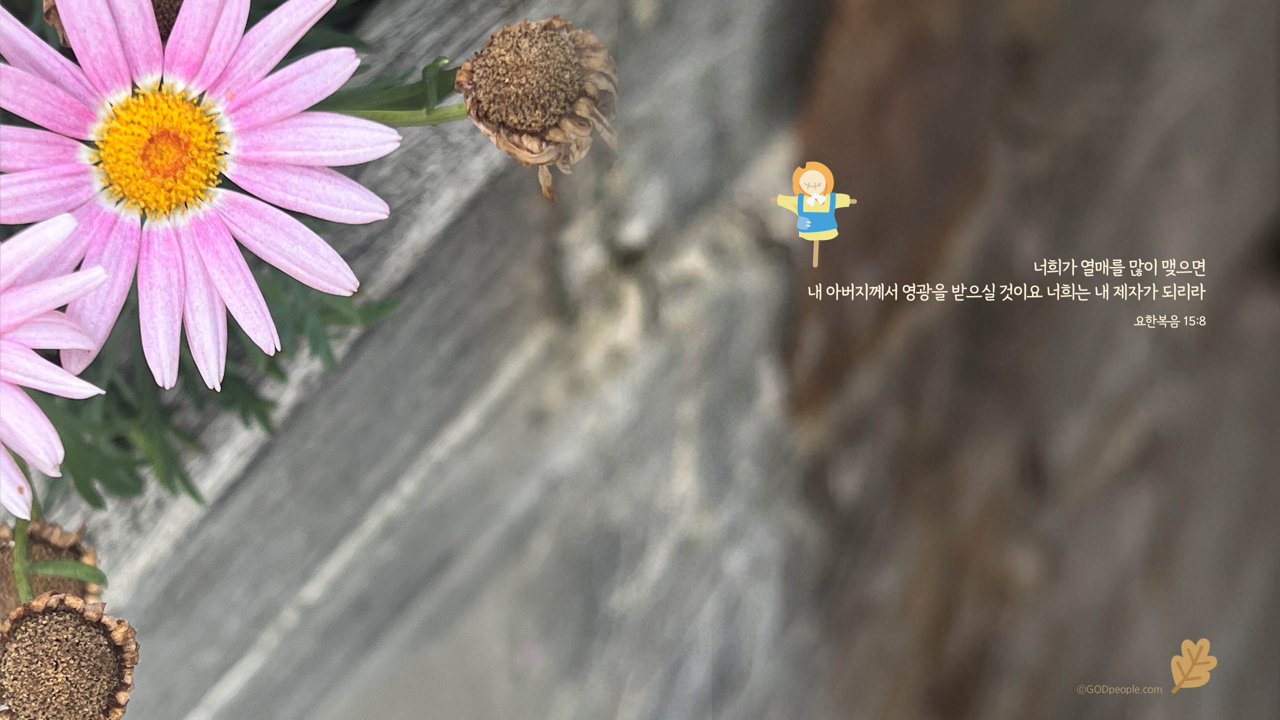 background_image