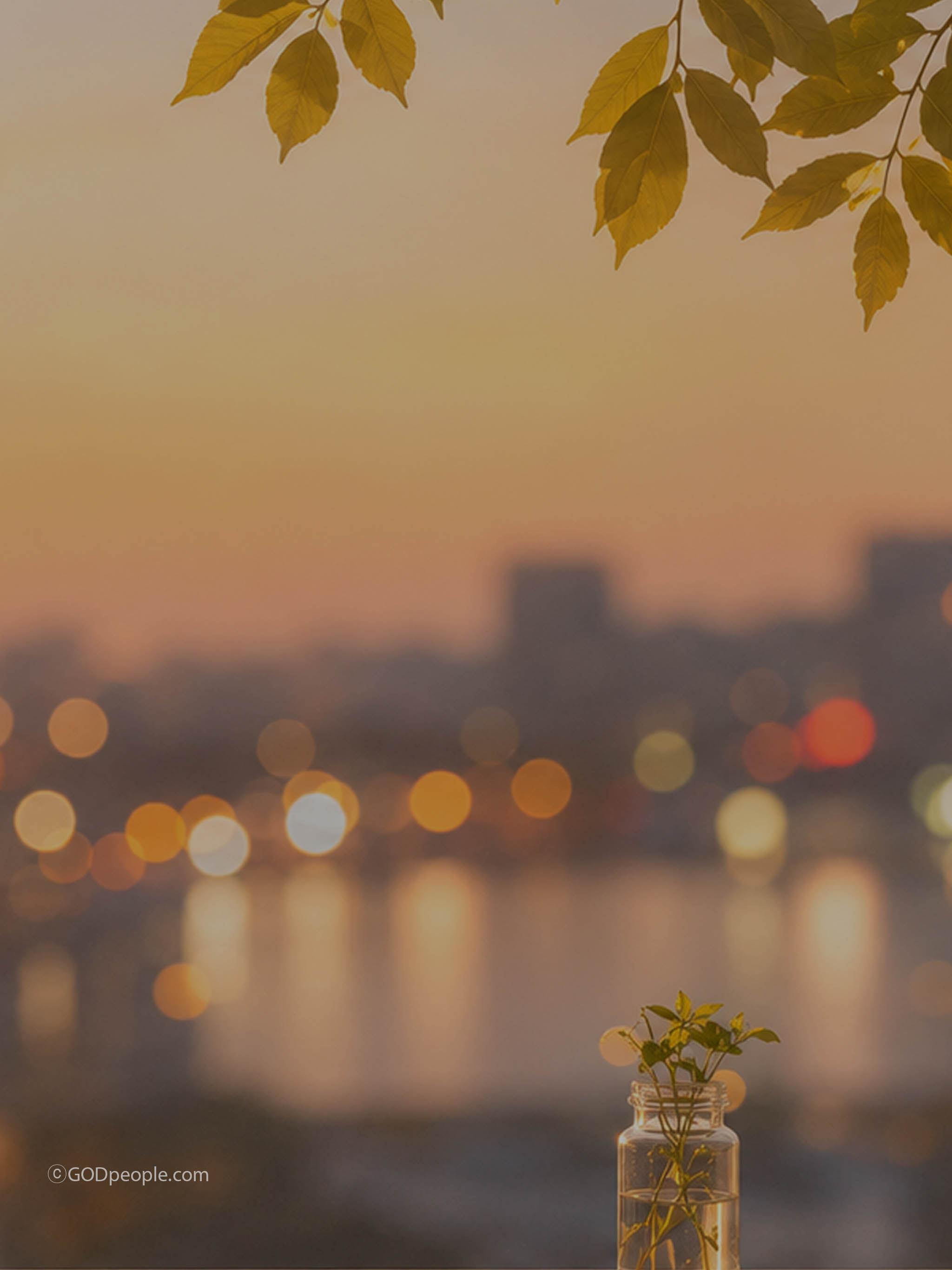 background_image