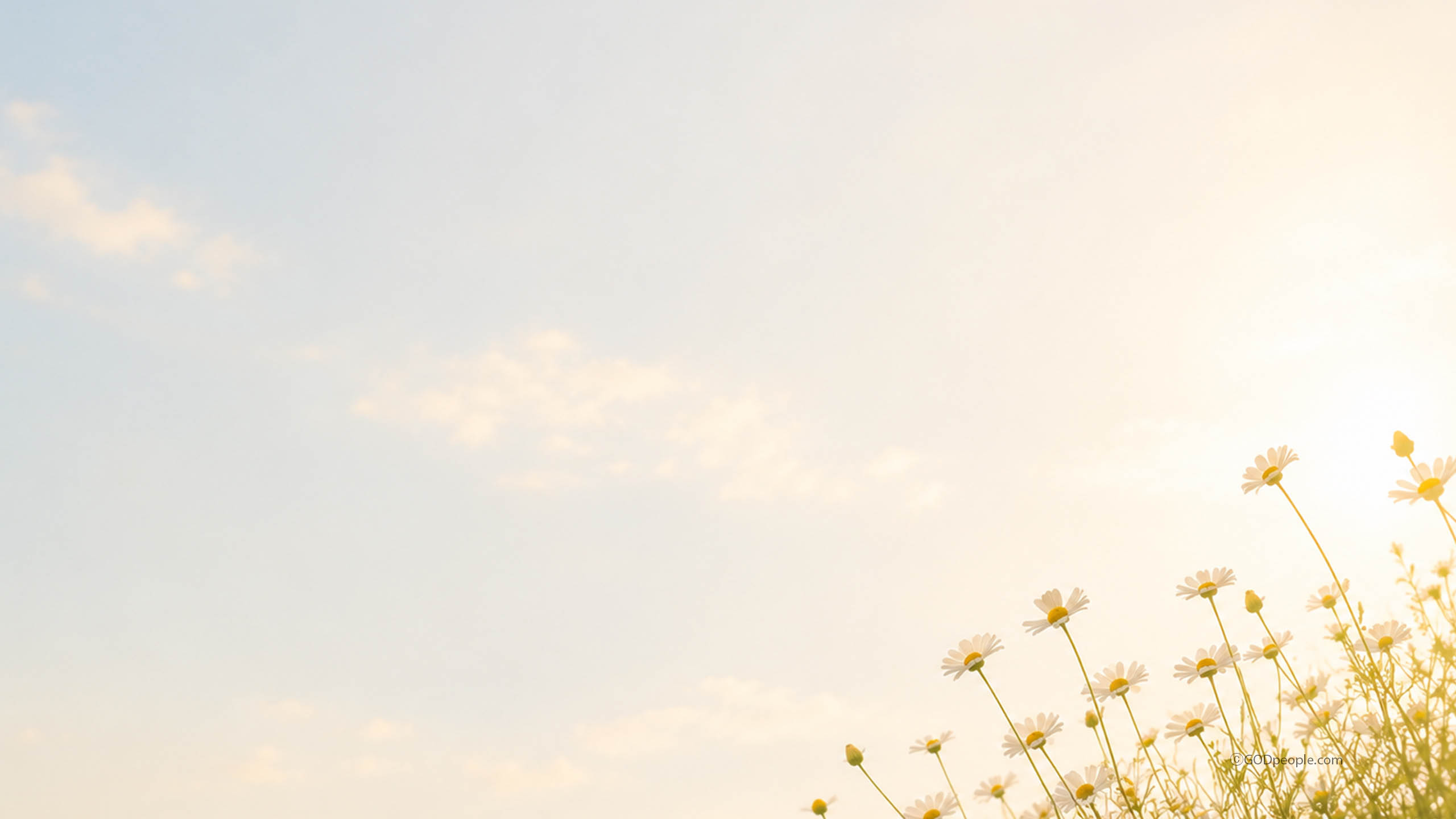 background_image