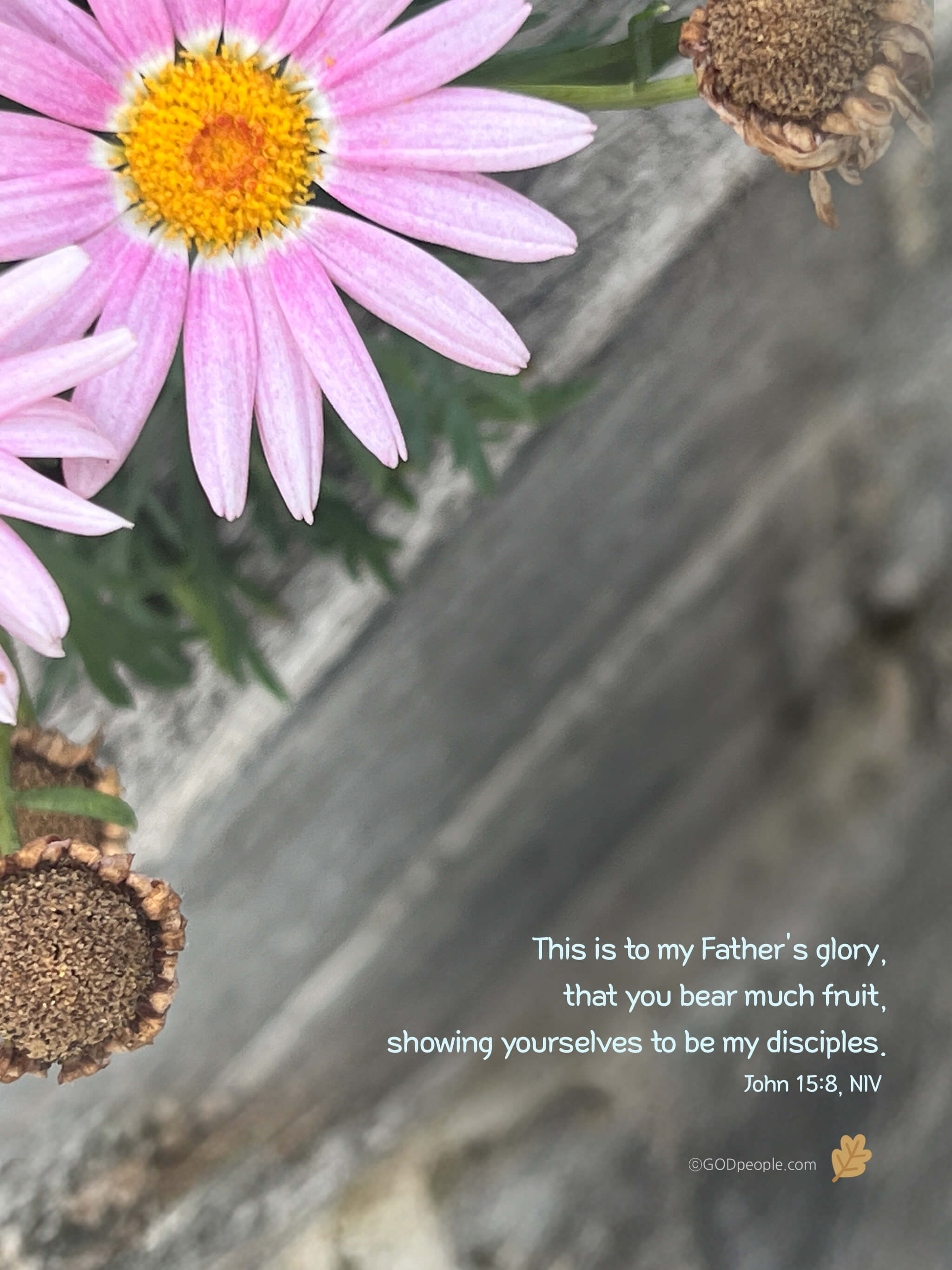 background_image