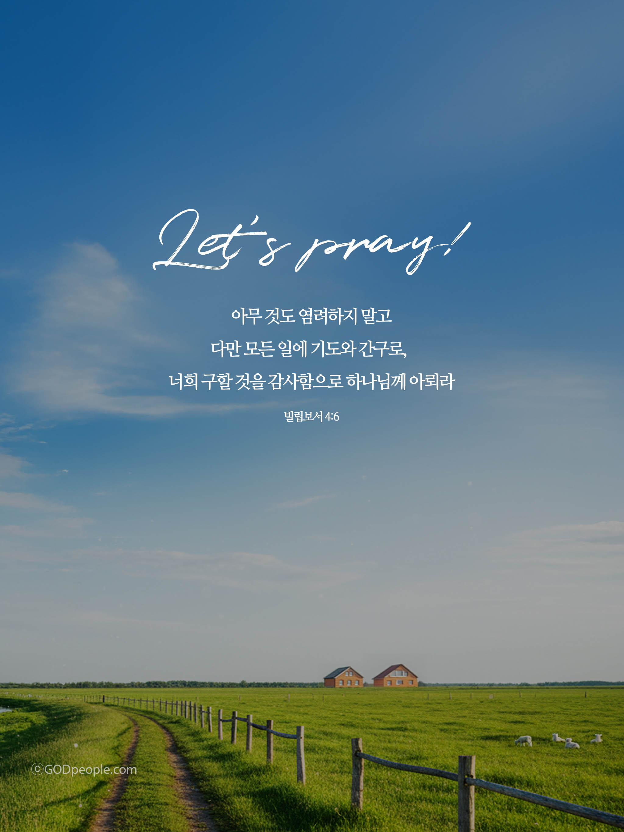 background_image