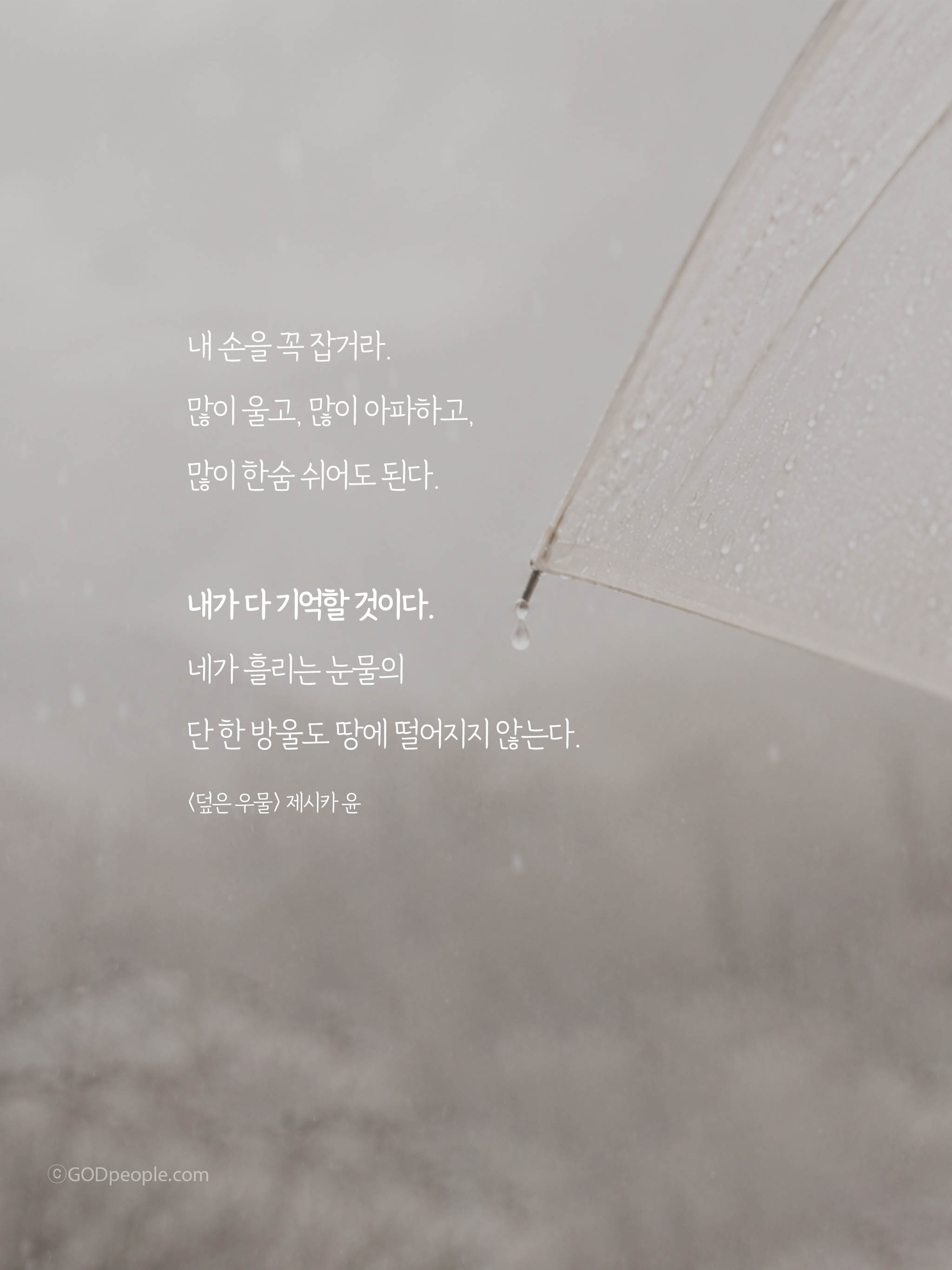 background_image