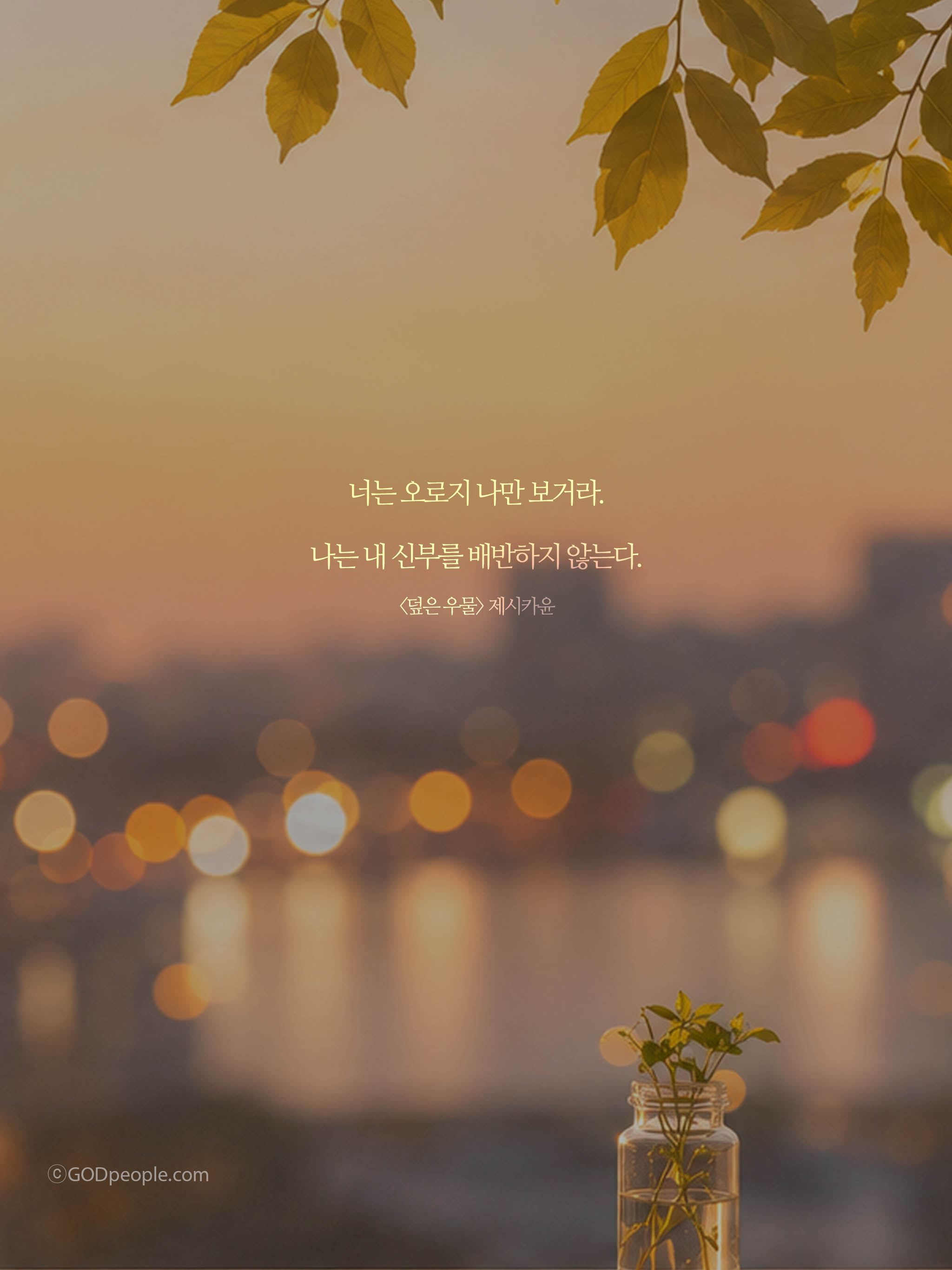 background_image