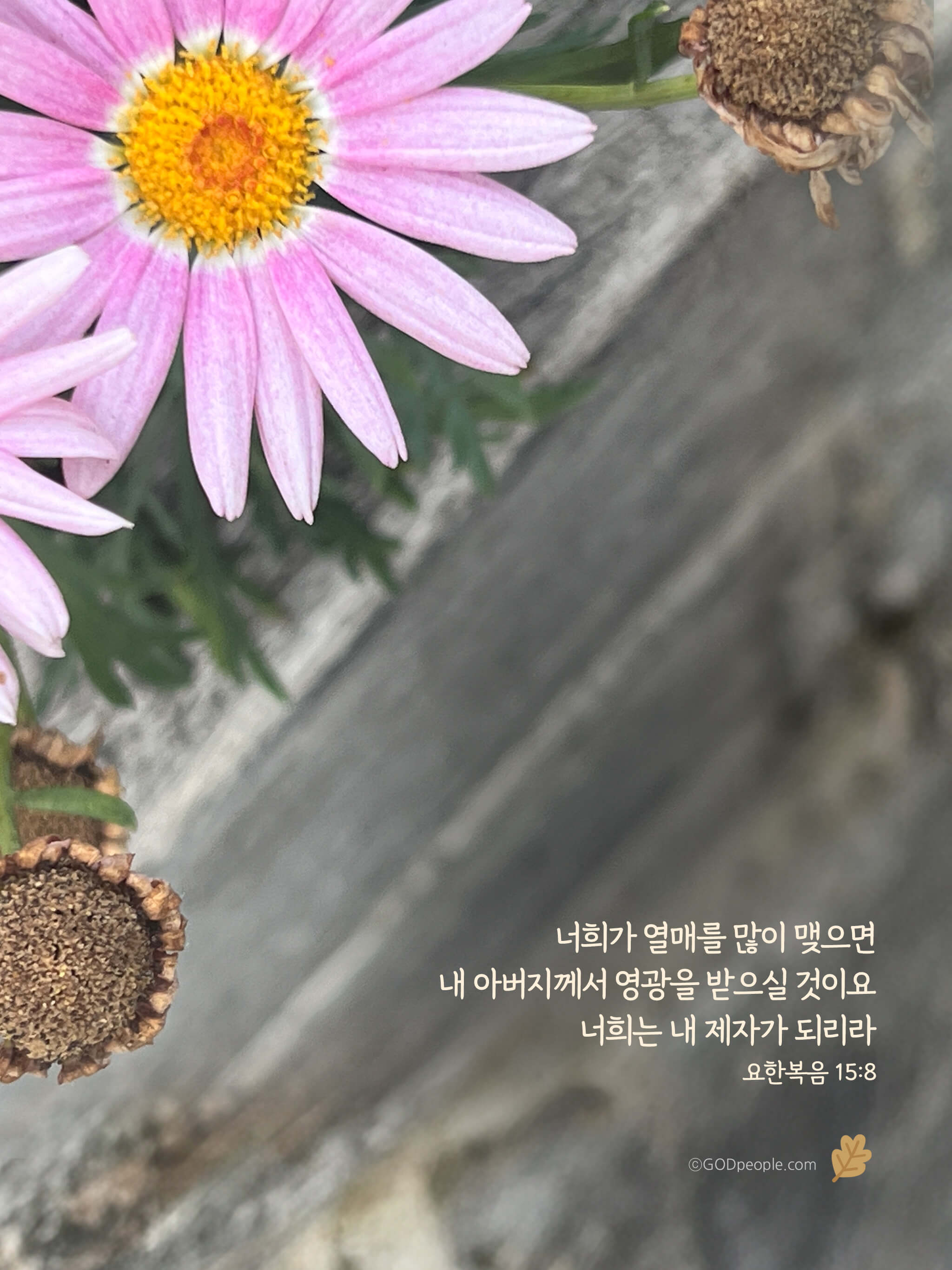 background_image