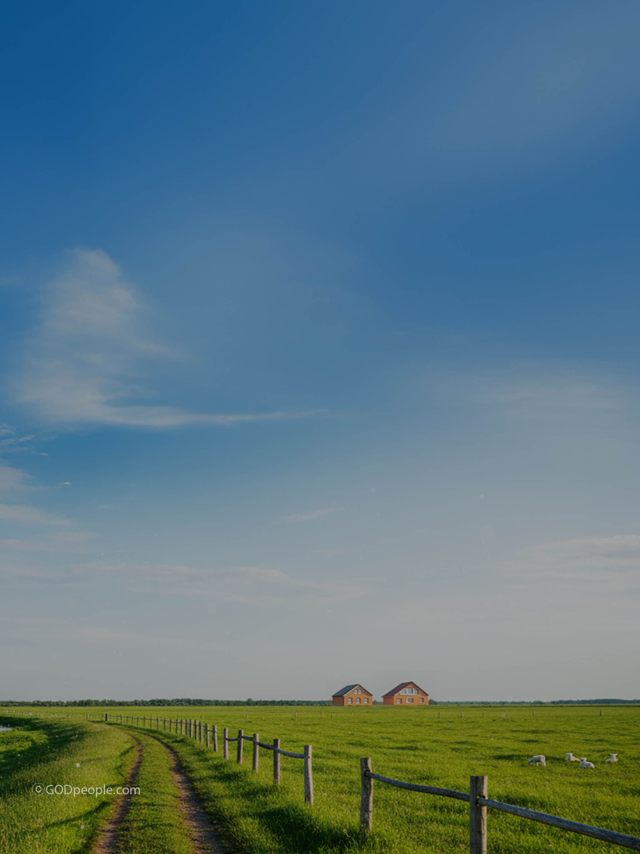 background_image