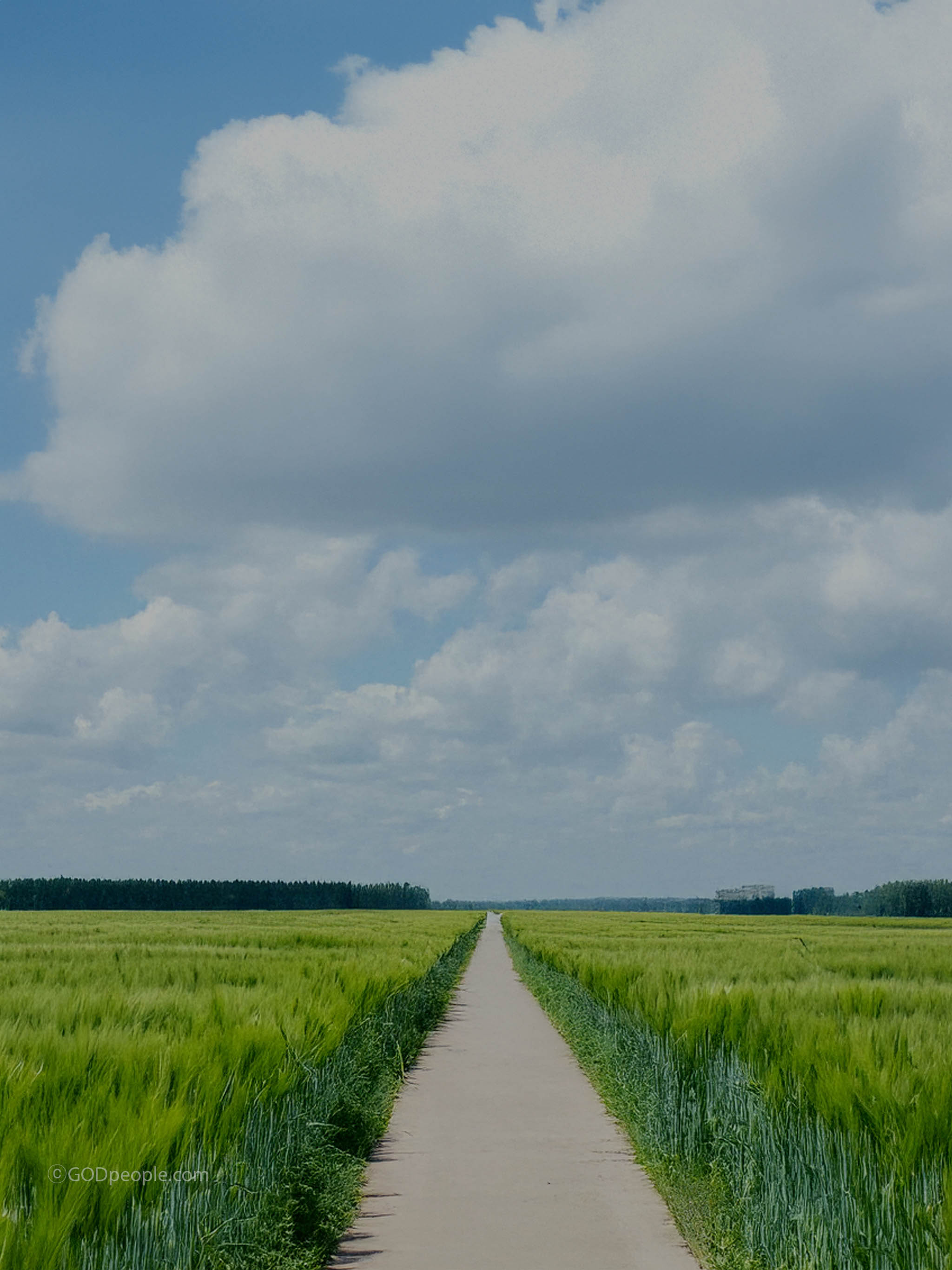 background_image