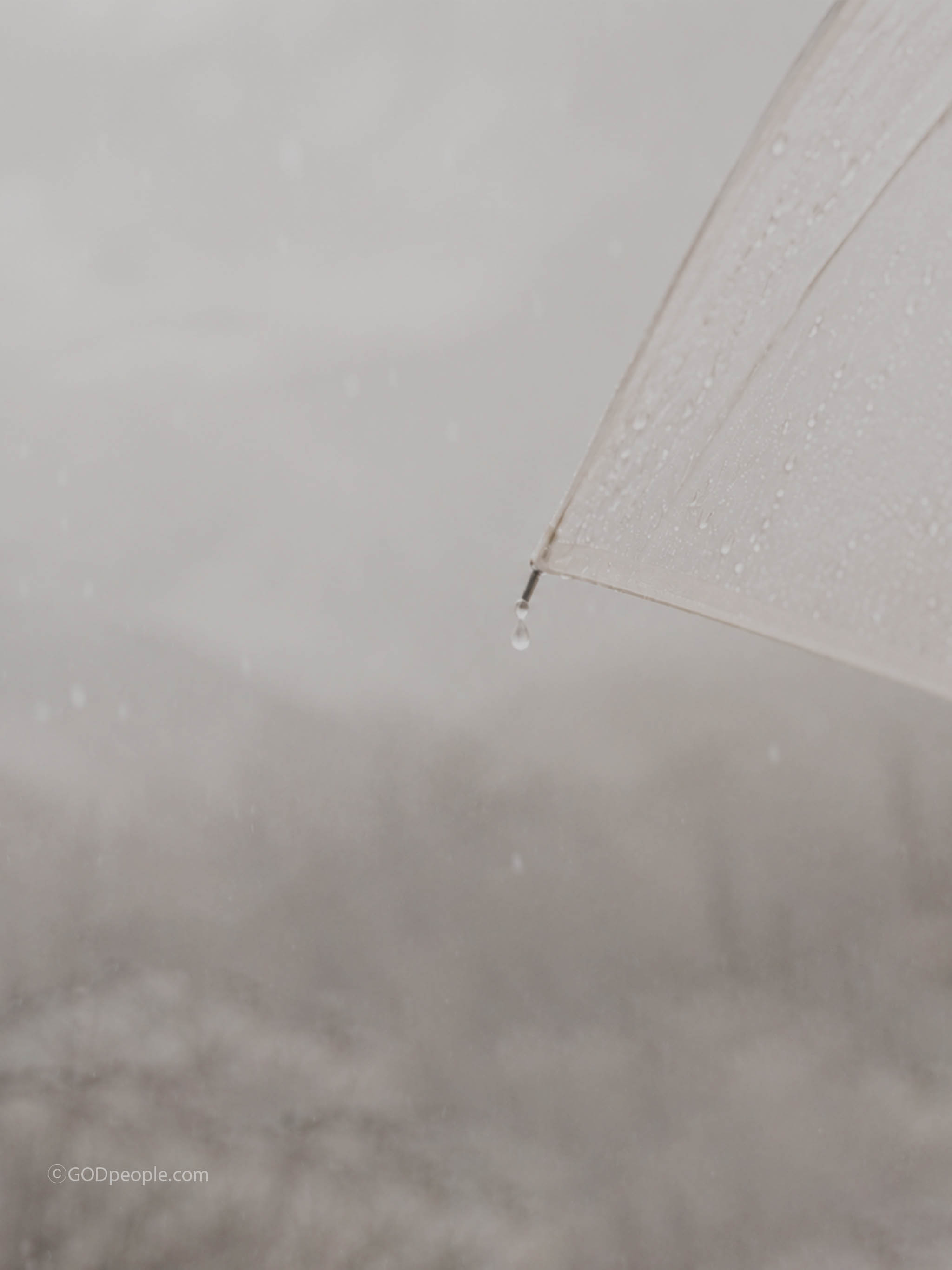 background_image