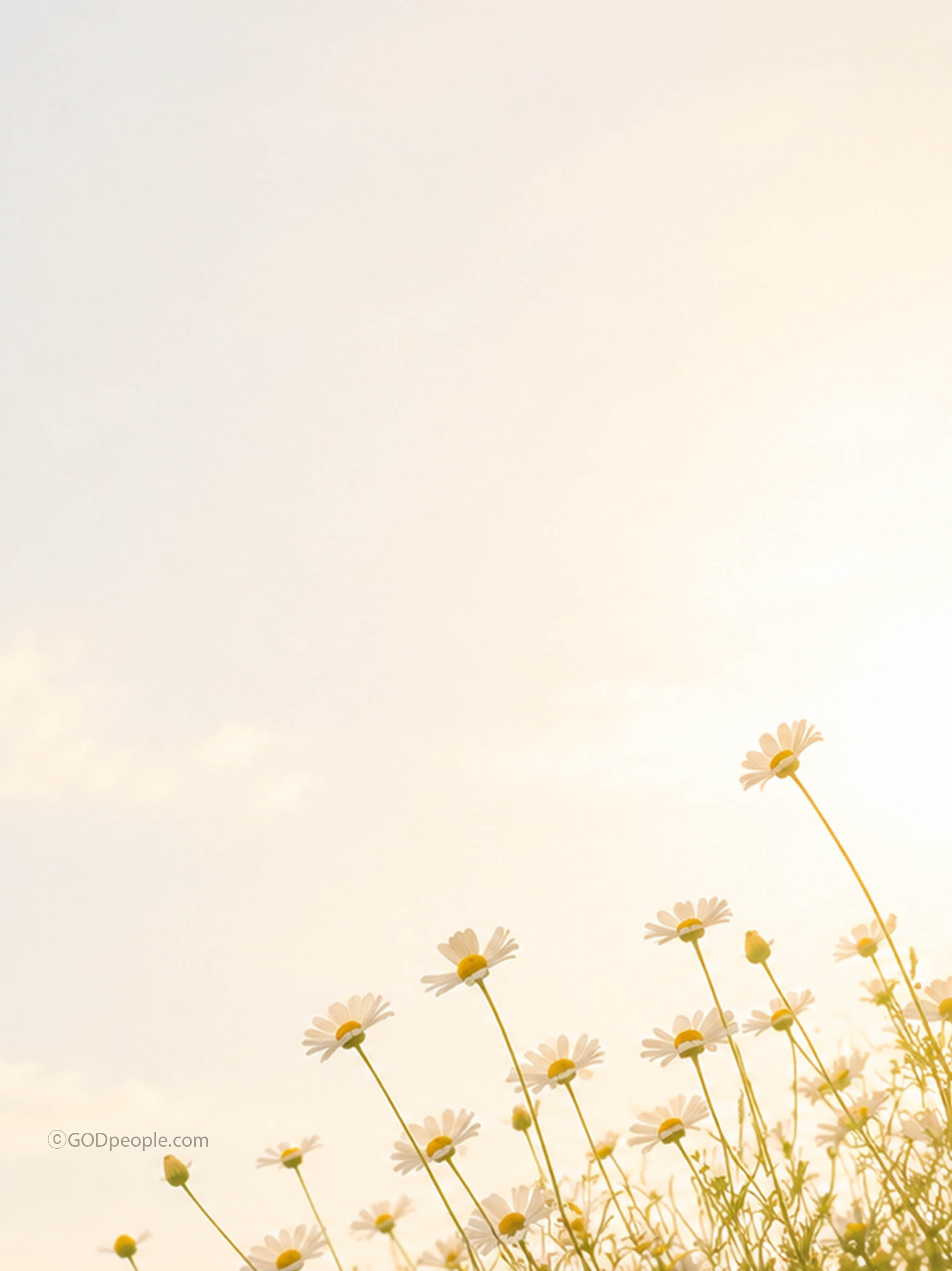 background_image
