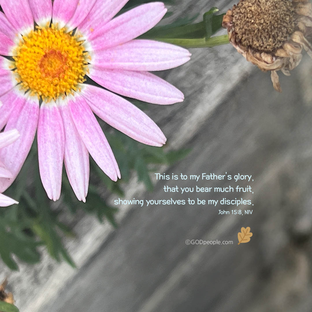 background_image