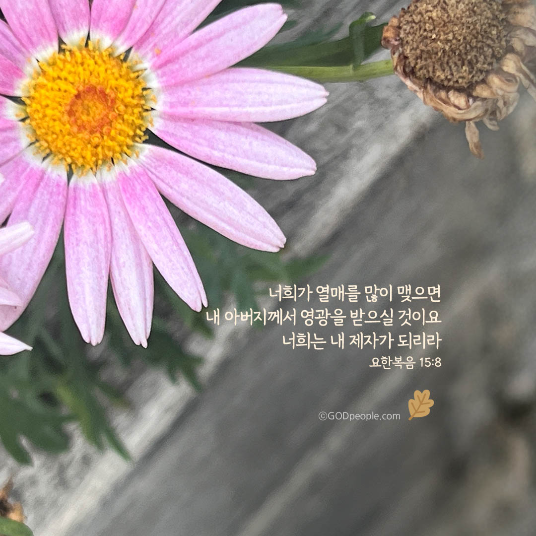 background_image