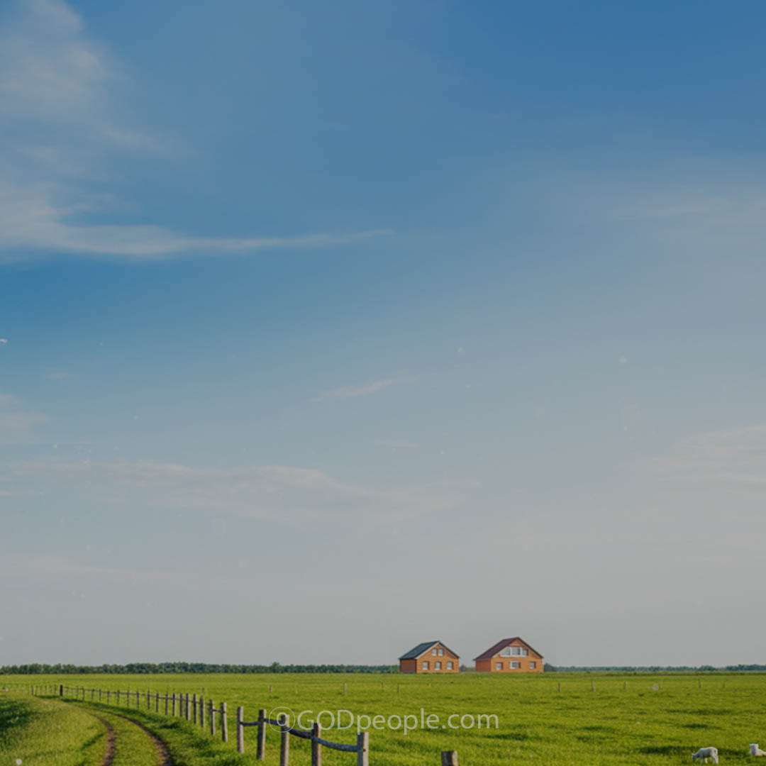 background_image