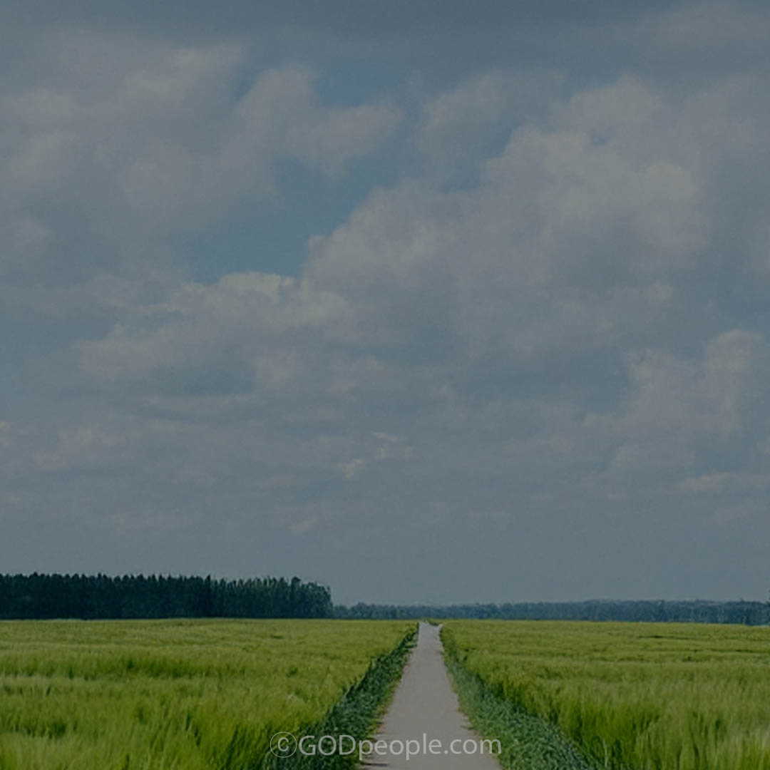 background_image
