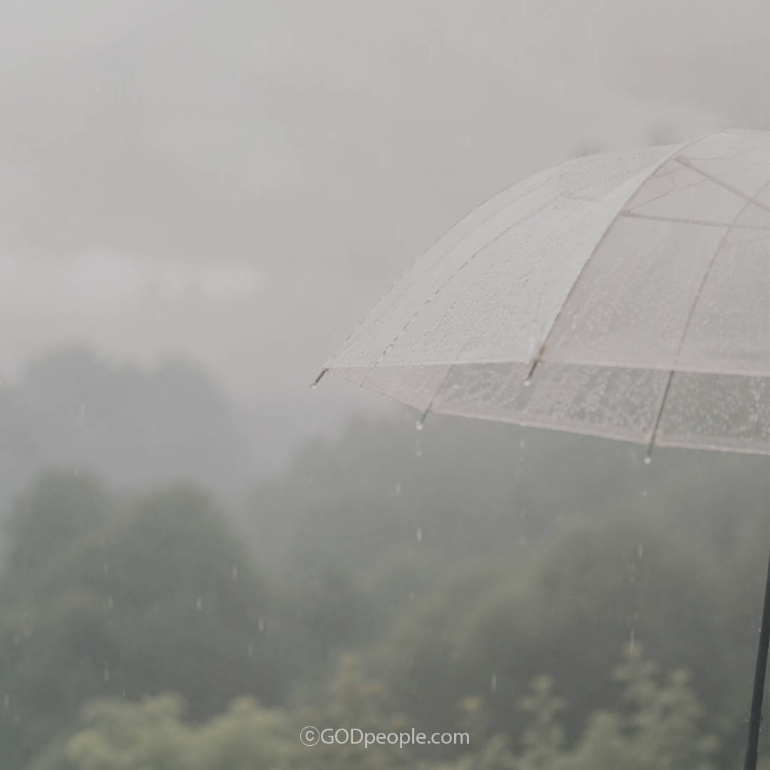 background_image