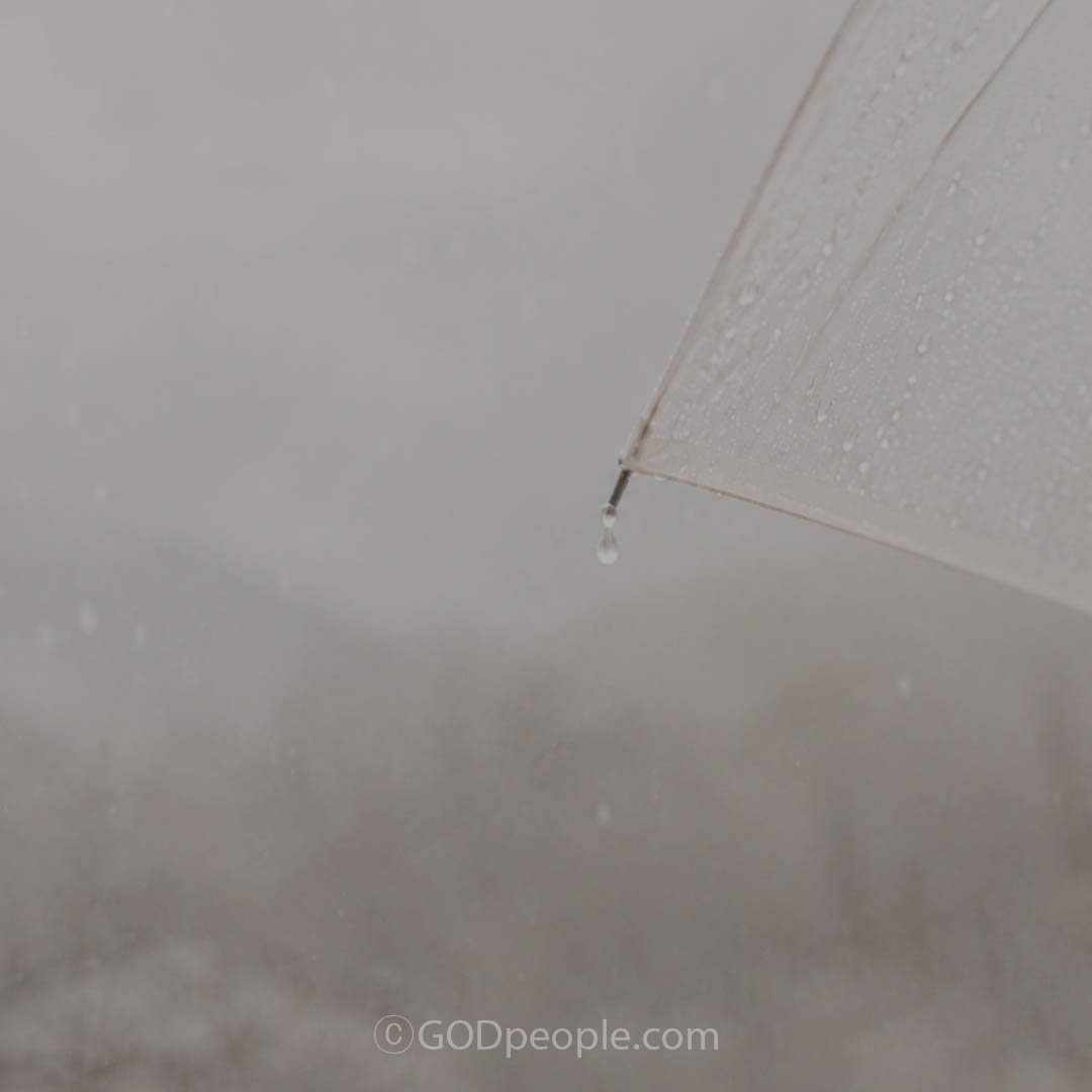 background_image