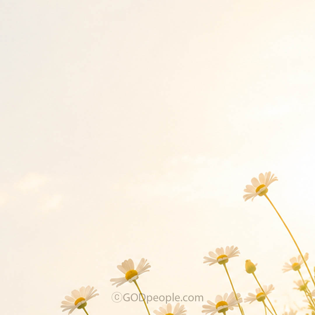 background_image